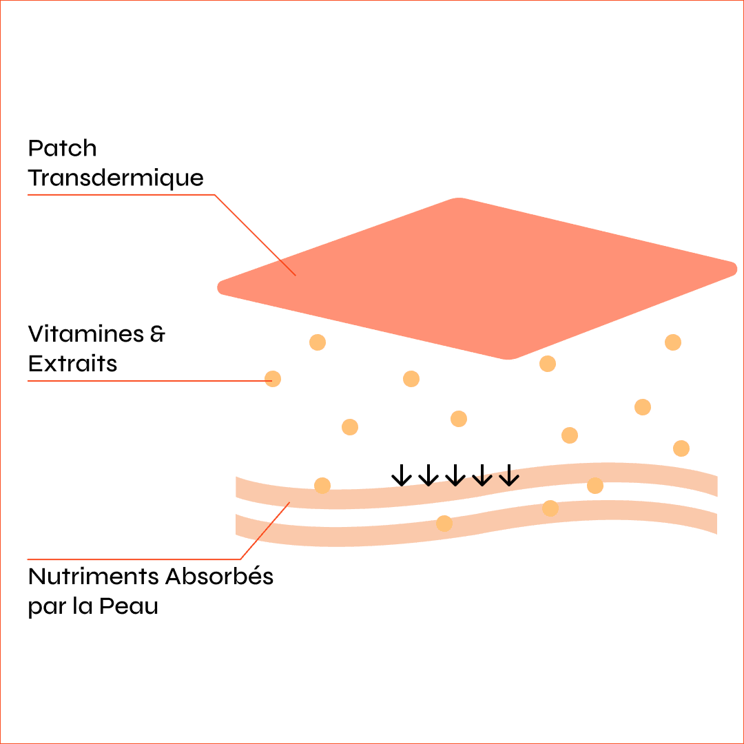 Ici, toujours sous forme de schéma, on y voit le fonctionnement d'un patch. Le patch transdermique, une fois collé sur la peau, diffuse ses actifs à travers l'épiderme.